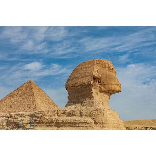 Africa-Egypt-Cairo Giza plateau Great Sphinx of Giza in front of the Great Pyramid of Giza